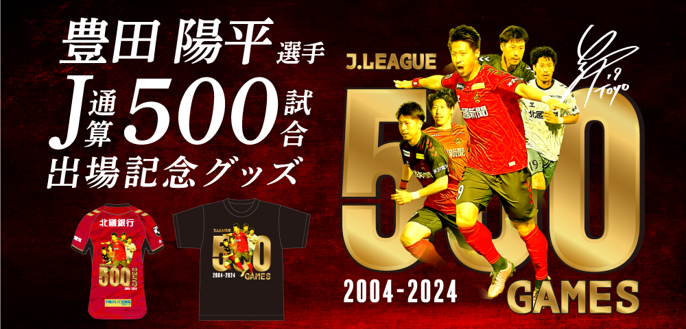 豊田500試合_EC.jpg